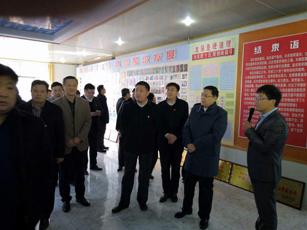 市人大常委會(huì )來(lái)公司視察指導工作