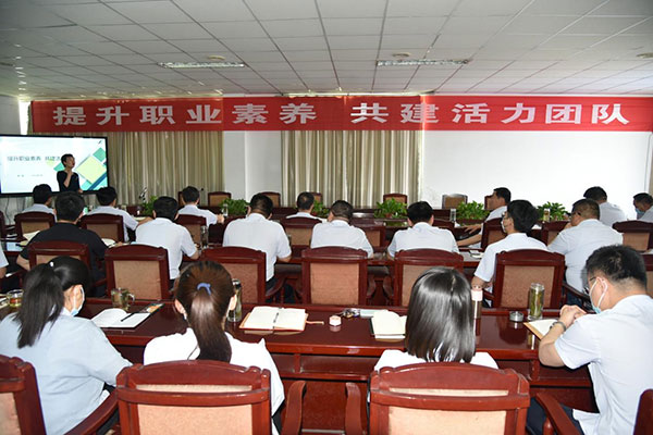 公司舉辦“提升職業(yè)素養 共建活力團隊”專(zhuān)題培訓