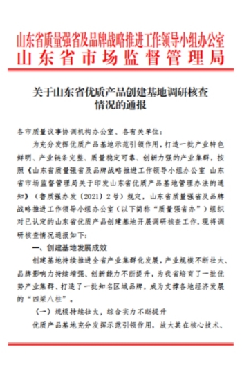 公司順利通過(guò)山東省優(yōu)質(zhì)建筑安裝服務(wù)基地的龍頭骨干企業(yè)調研核查